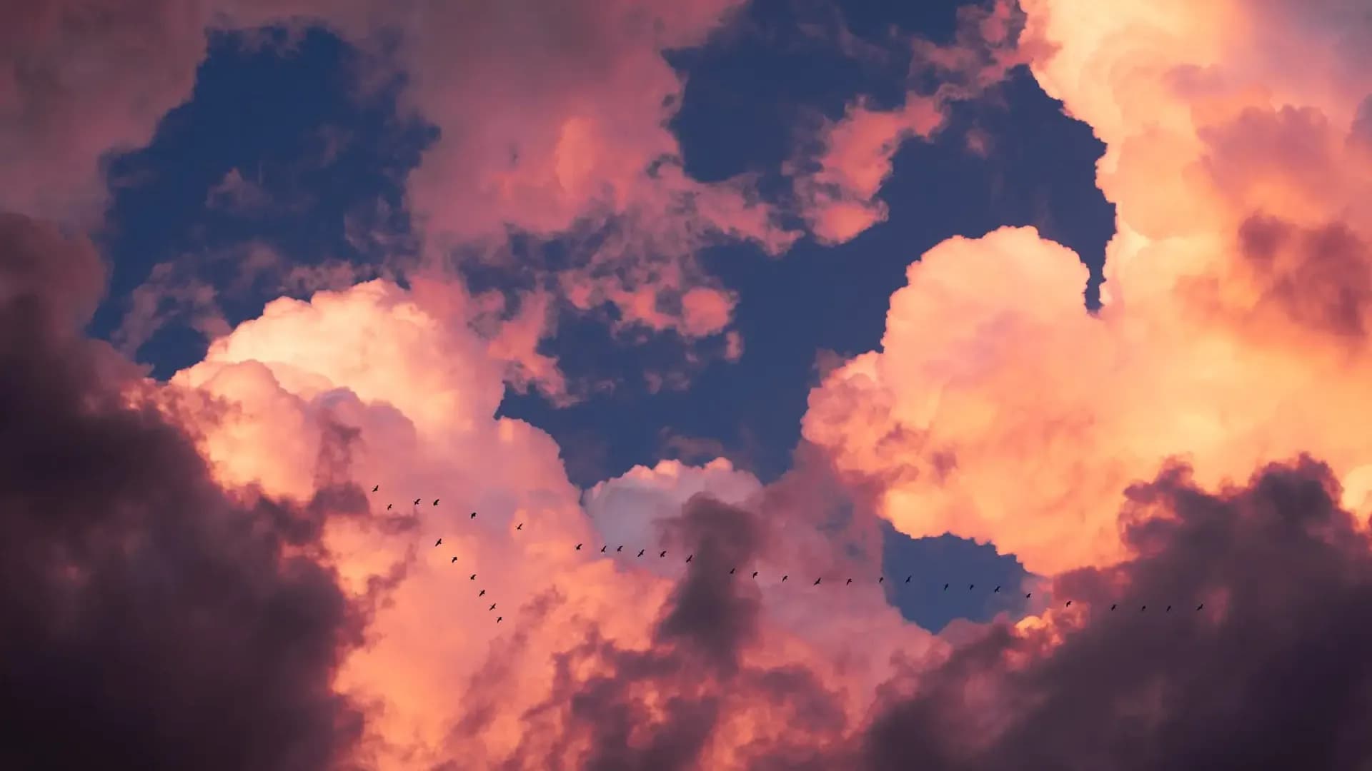 Cloud Migration Key Questions & Best Practices